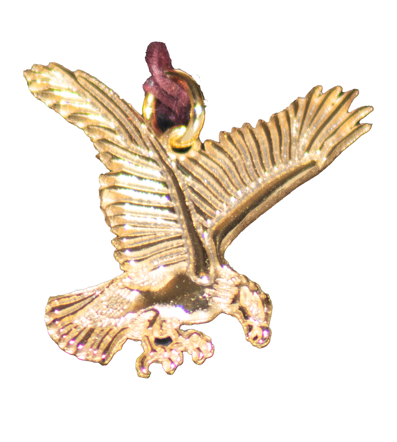 Charms - Eagle