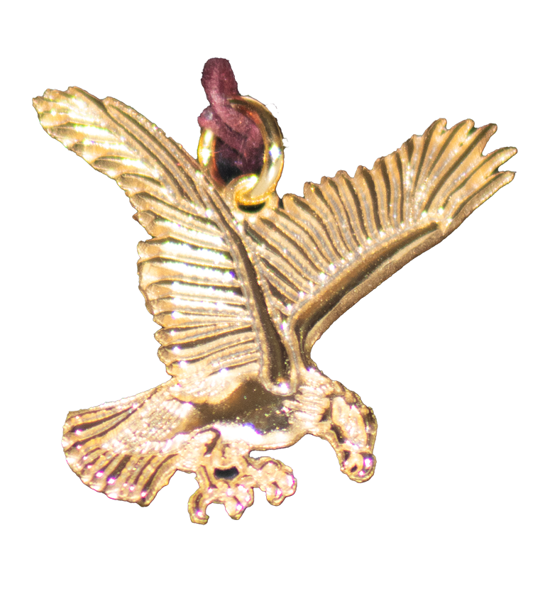 Jewelry - Eagle Charm