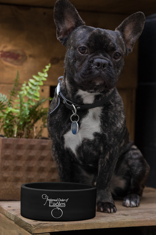 Pet Bowl