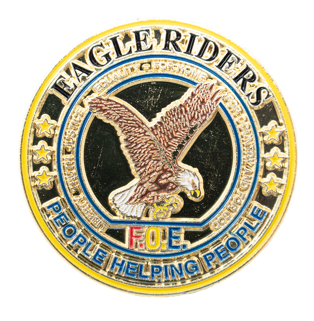 Eagle Riders Pin