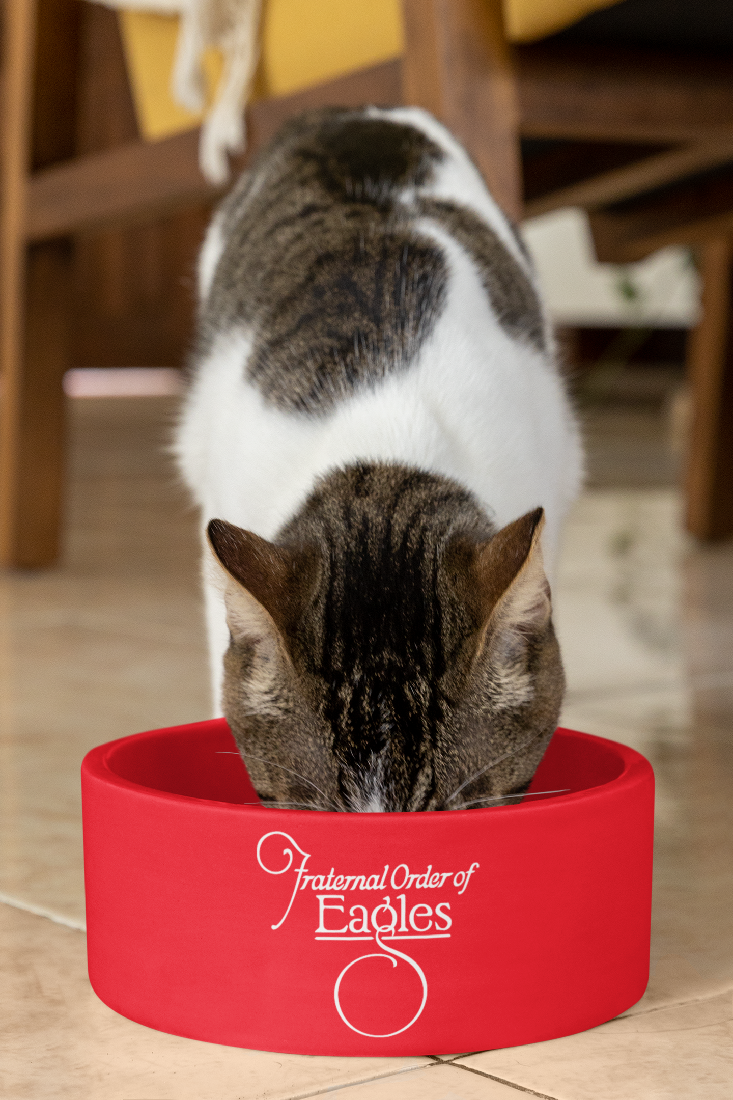 Pet Bowl