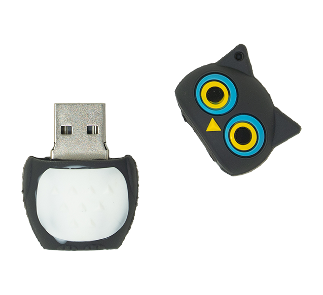 Flash Drives