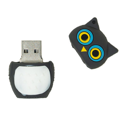 Flash Drives