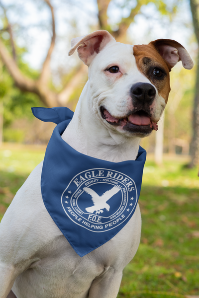 Eagles Bandanas 