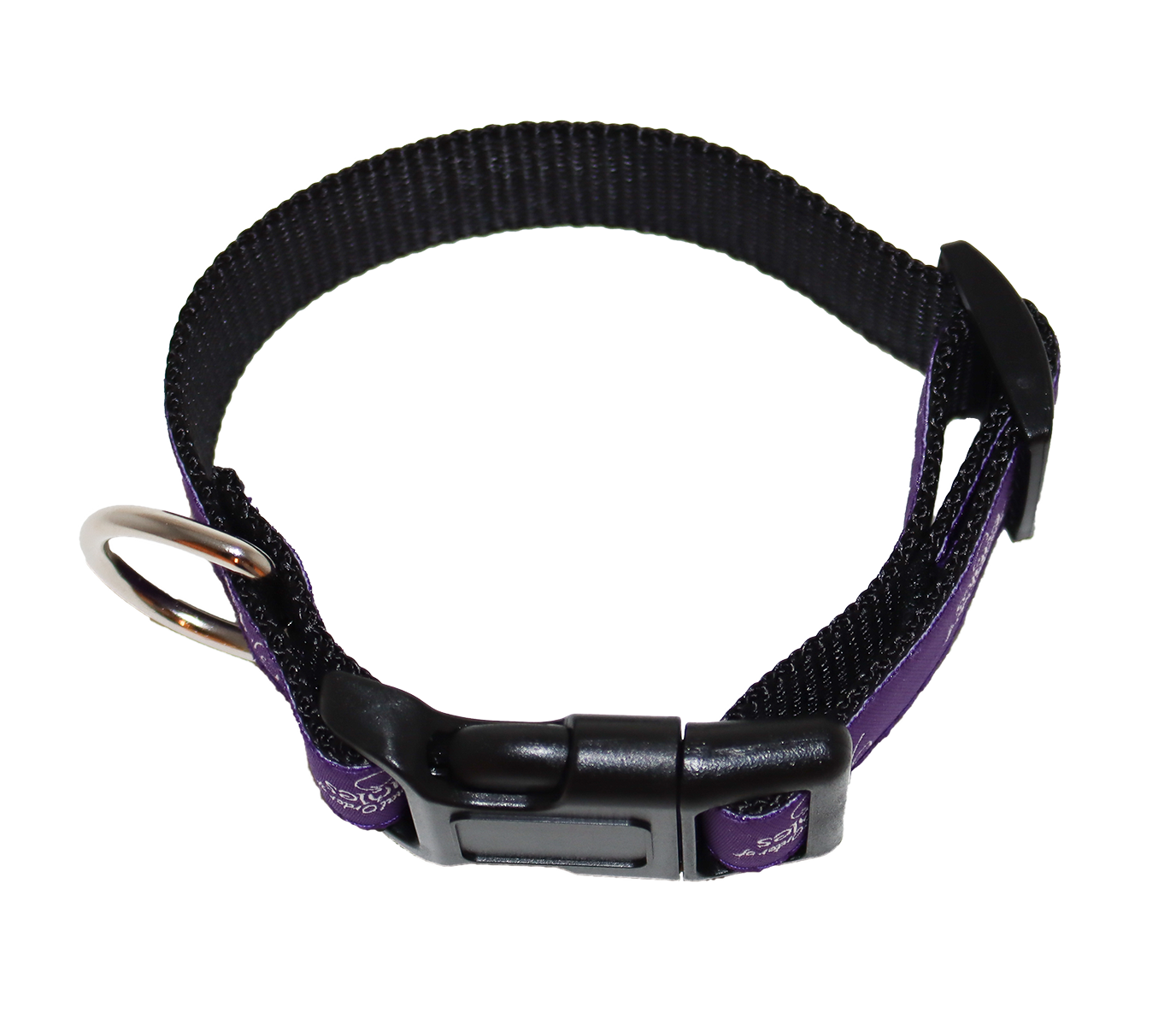 Pet Collar